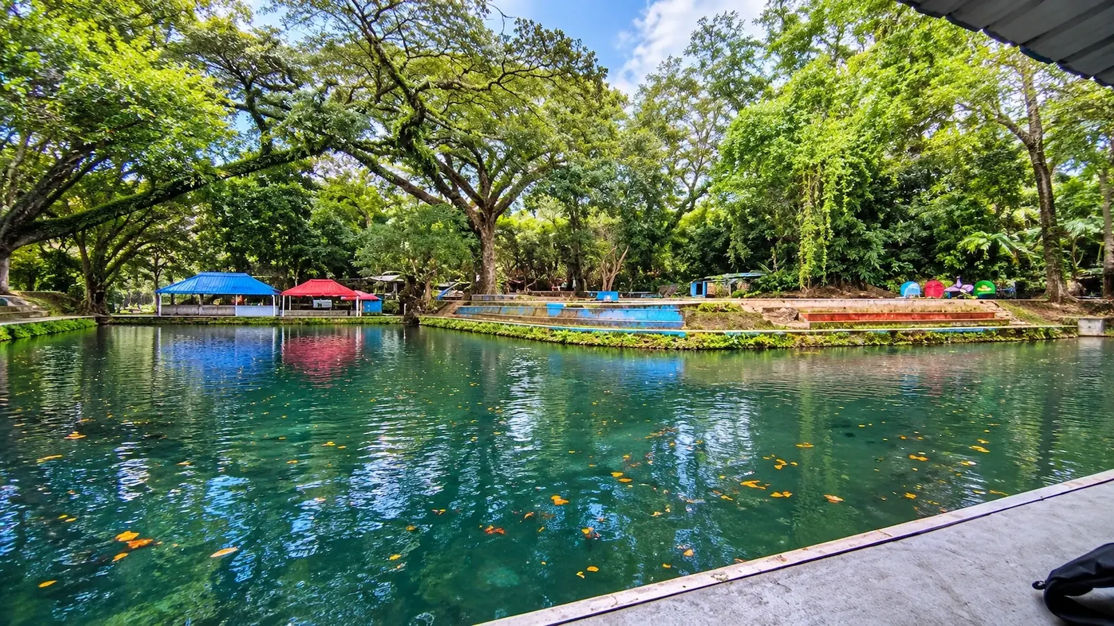 Kolam Umbul Nogo yang dikelilingi pepohonan rindang